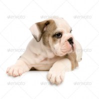 thumb_img