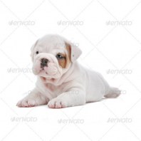 thumb_img