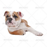 thumb_img